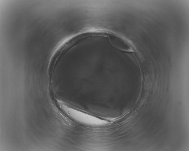 X0000078031319200611171928