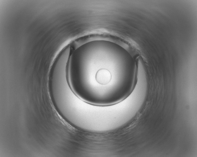 X0000078031326200611171929