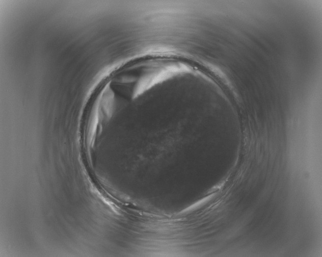 X0000078031327200611171929