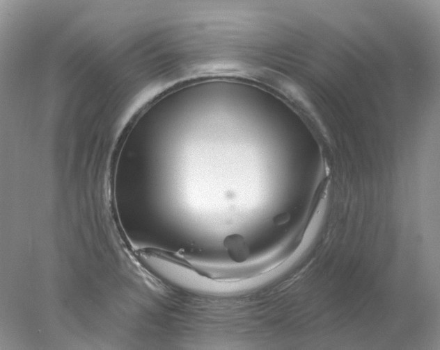 X0000078031328200611171929