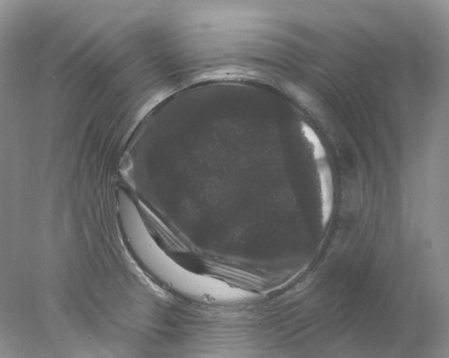 X0000078031329200611171929
