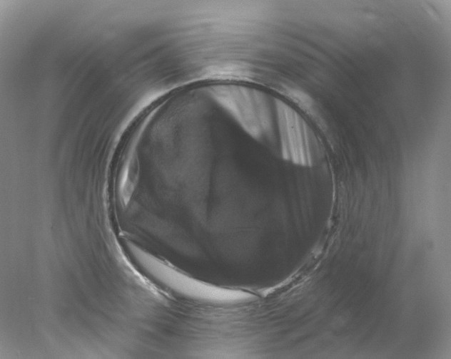 X0000078031331200611171929