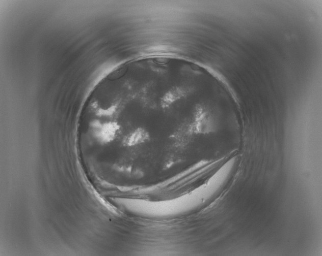 X0000078031333200611171929