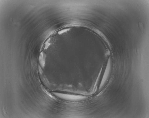 X0000078031337200611171929