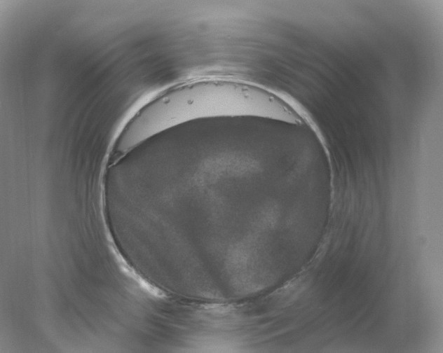 X0000078031341200611171929