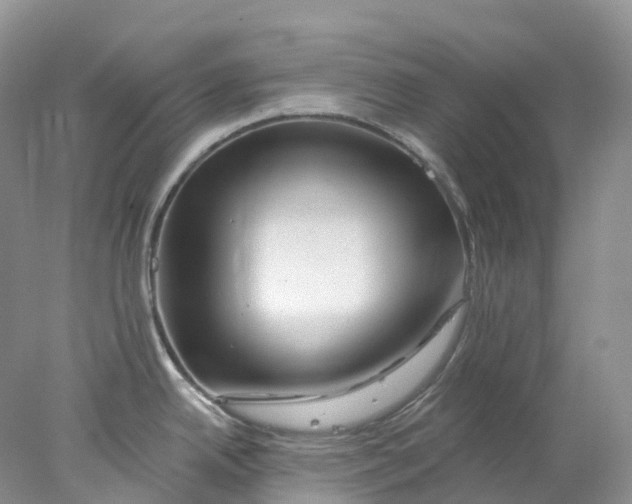 X0000078031342200611171929