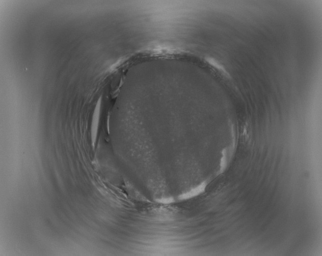 X0000078031348200611171928