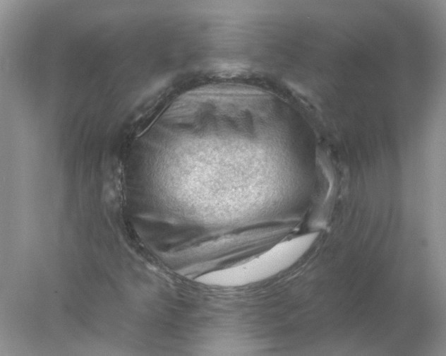 X0000078031349200611171928