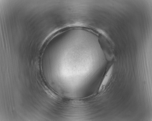 X0000078031356200611171928