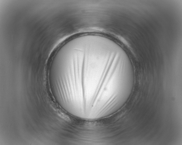 X0000078031364200611171928