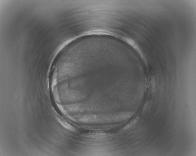 X0000078031372200611171928