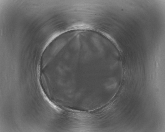 X0000078031383200611171927