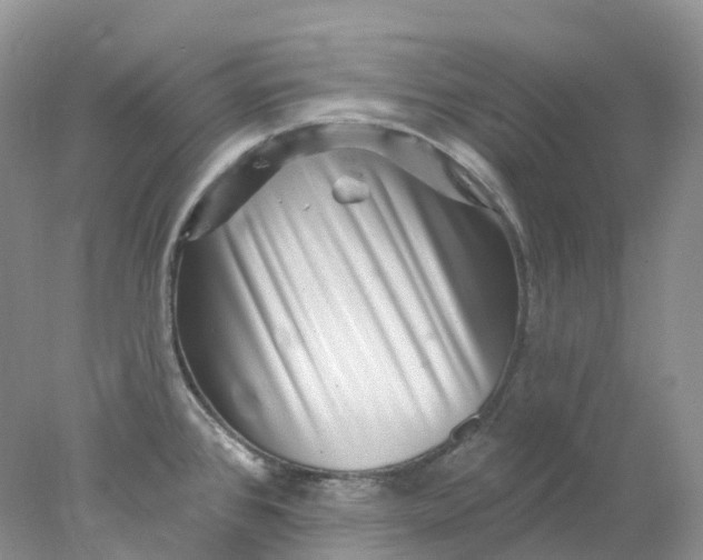 X0000078031384200611171927