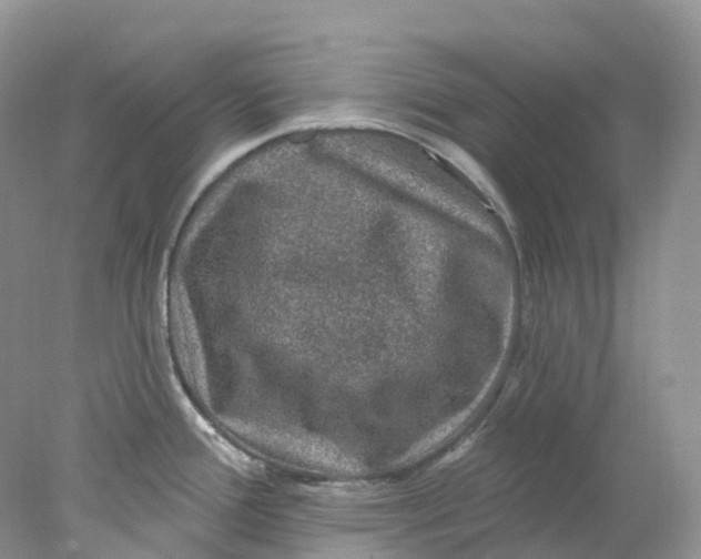 X0000078031388200611171927