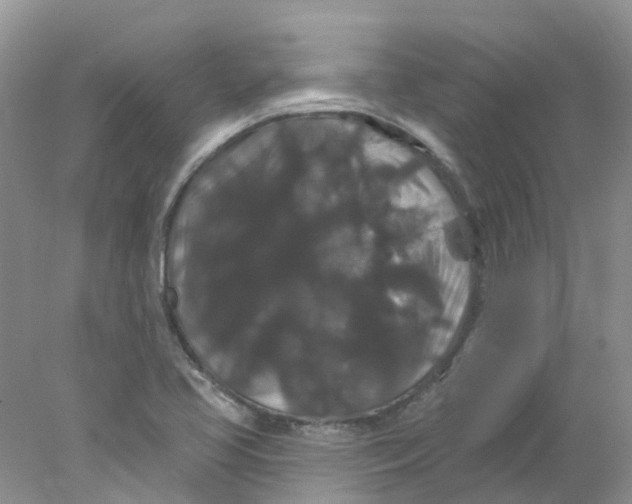 X0000078031413200611171927