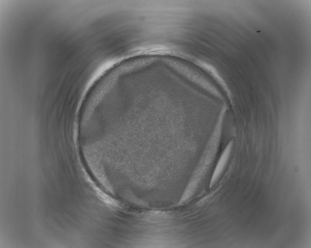 X0000078031424200611171927