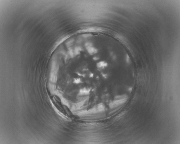 X0000078031425200611171927