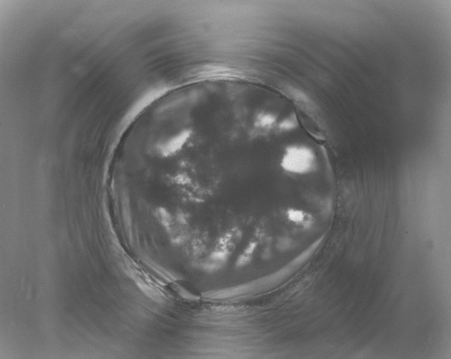 X0000078031427200611171927