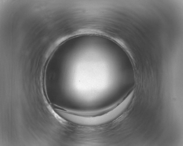 X0000078031438200611171927