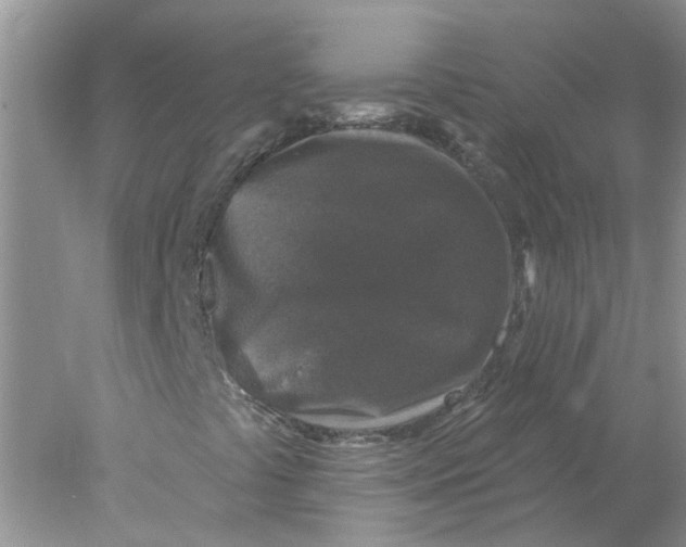 X0000078031441200611171926