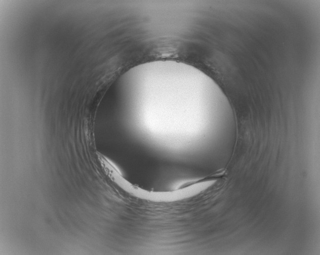X0000078031442200611171926