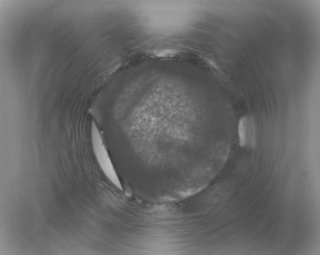 X0000078031443200611171926