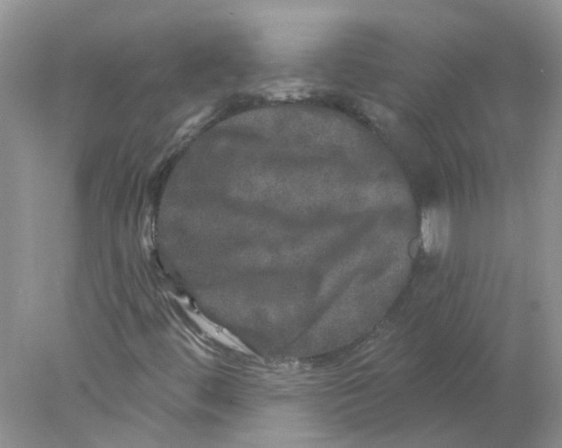 X0000078031444200611171926