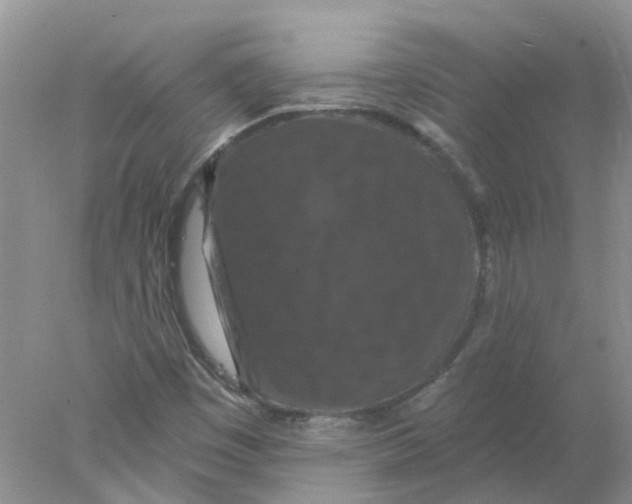 X0000078031449200611171926