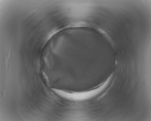 X0000078031457200611171926