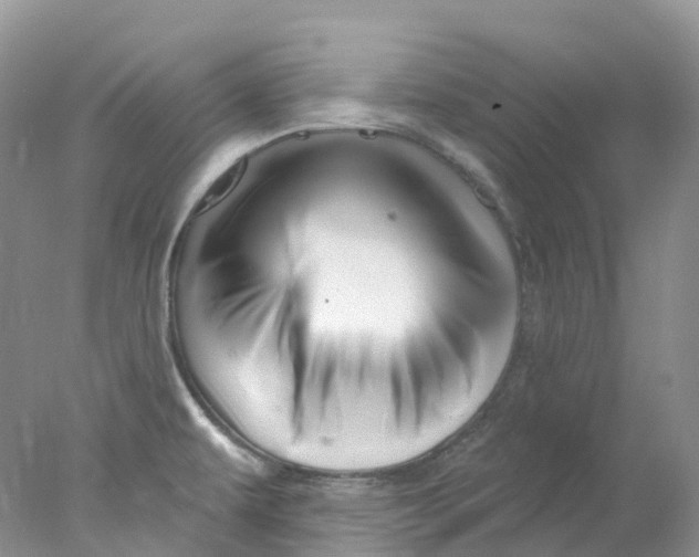 X0000078031479200611171926
