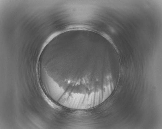 X0000078031482200611171926