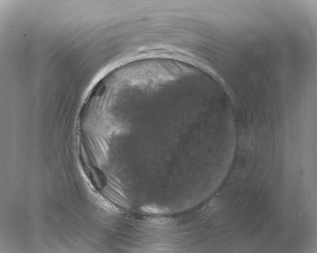 X0000078031522200611171925