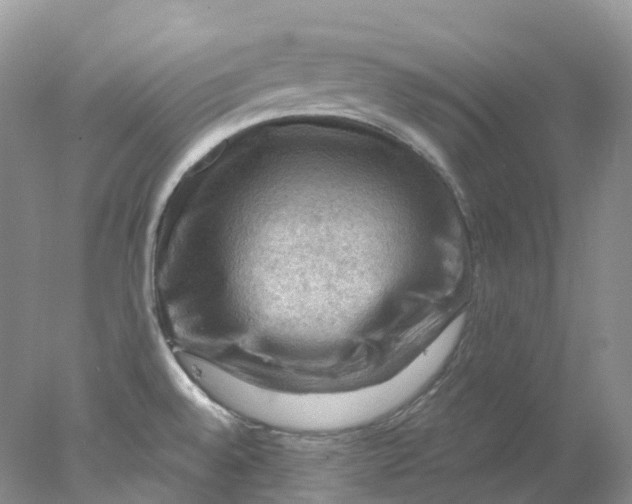 X0000078031528200611171926