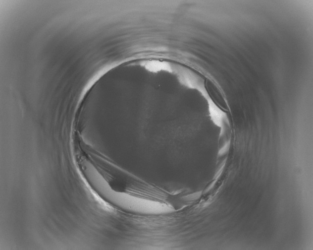 X0000078031533200611171926