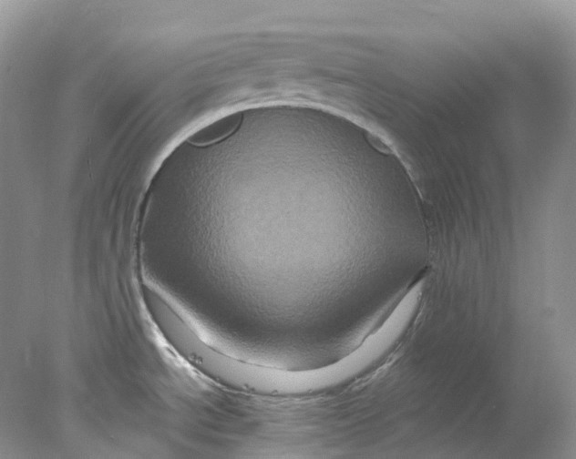 X0000078031534200611171926