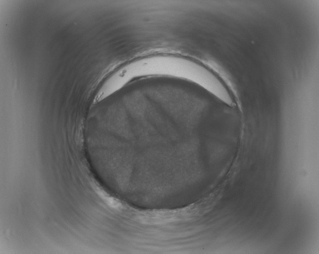 X0000078030009200611251607
