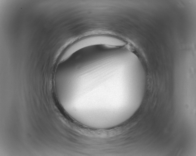 X0000078030015200611251607