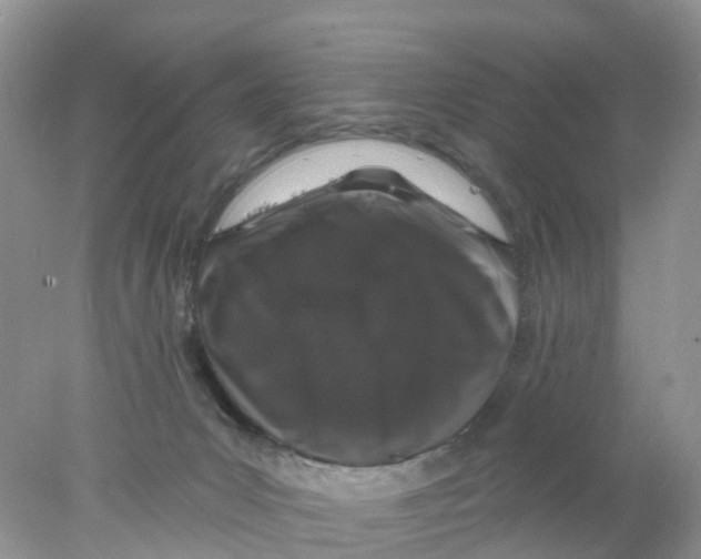 X0000078030031200611251607