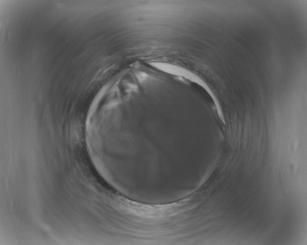 X0000078030035200611251607