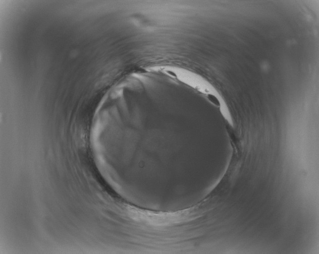 X0000078030039200611251607