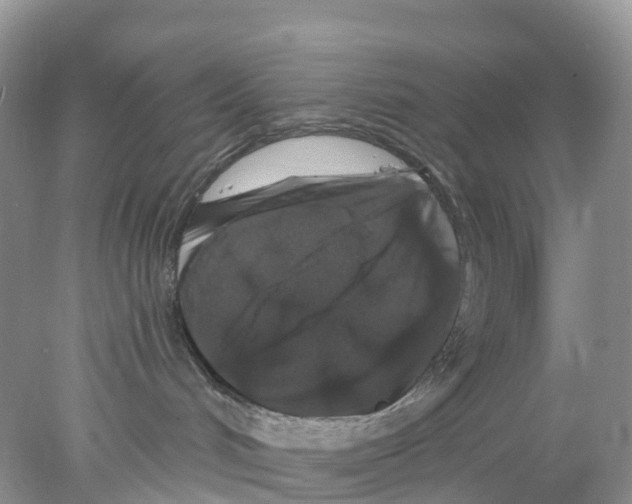 X0000078030048200611251607
