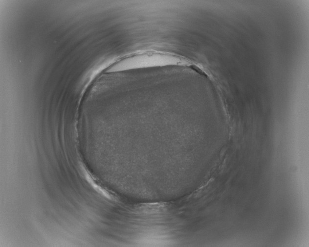 X0000078030050200611251606