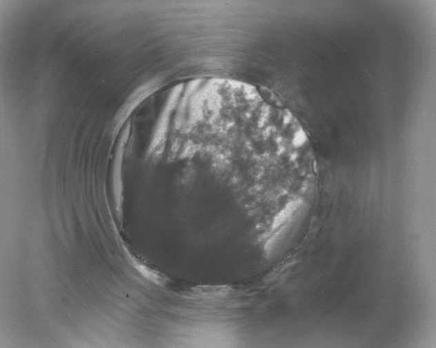 X0000078030051200611251606