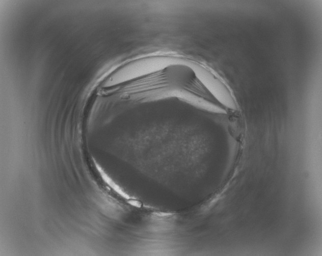 X0000078030055200611251606