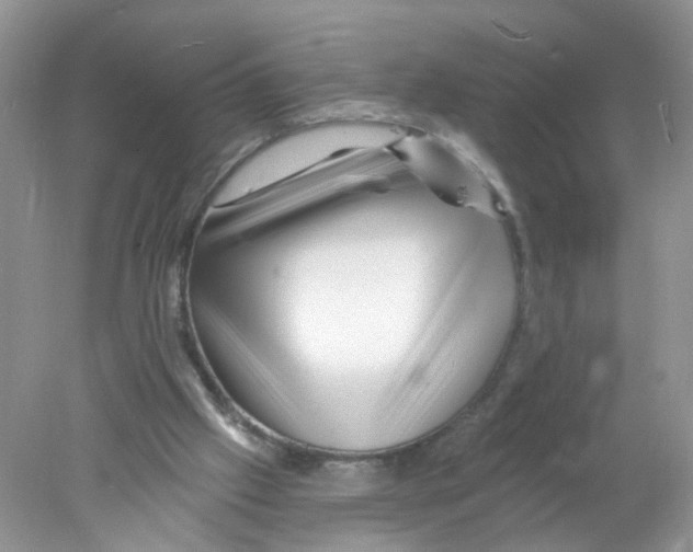 X0000078030057200611251606