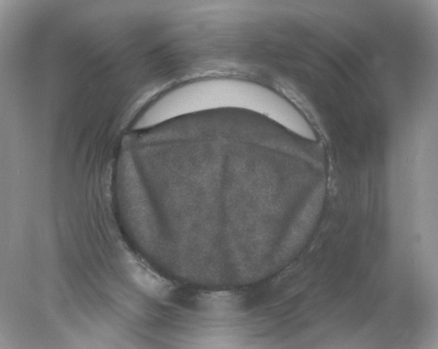 X0000078030058200611251606
