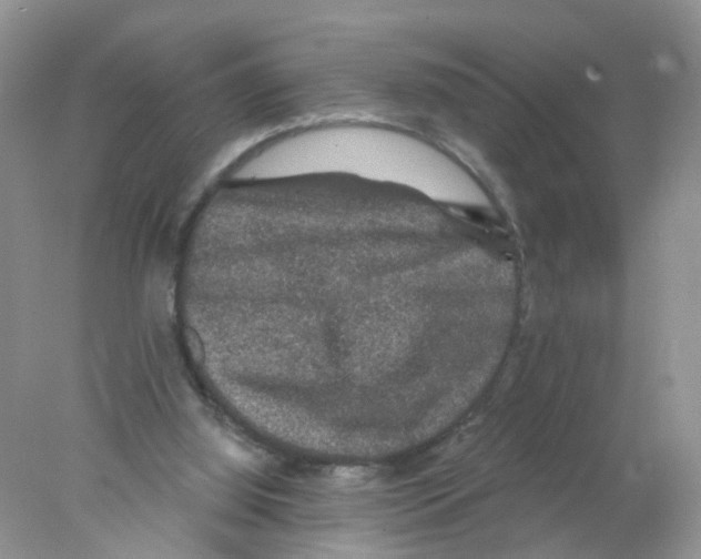 X0000078030060200611251606