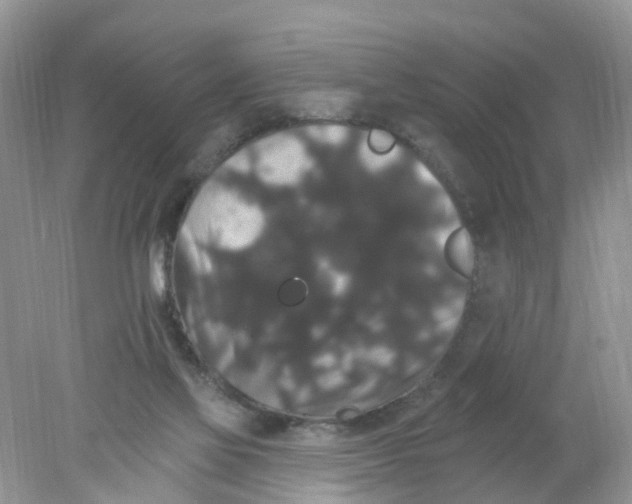 X0000078030069200611251606