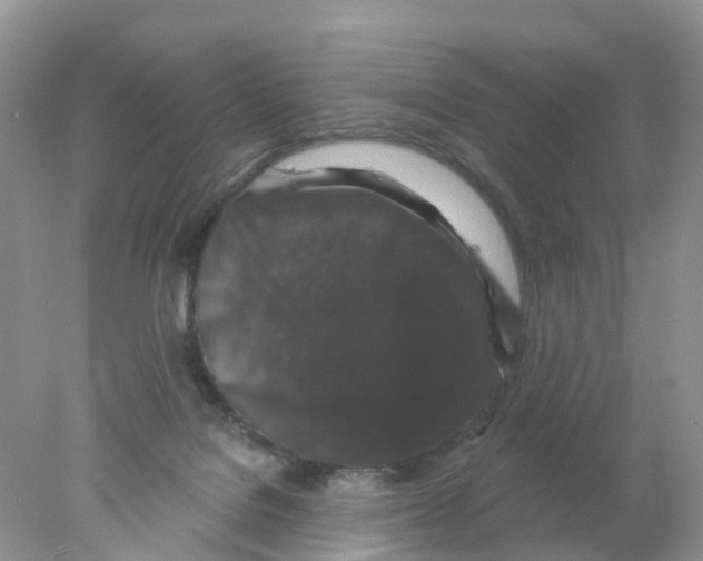 X0000078030076200611251606