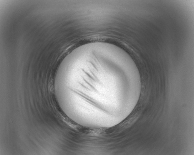 X0000078030096200611251607